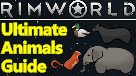 best pack animal rimworld|rimworld best hauling animal.